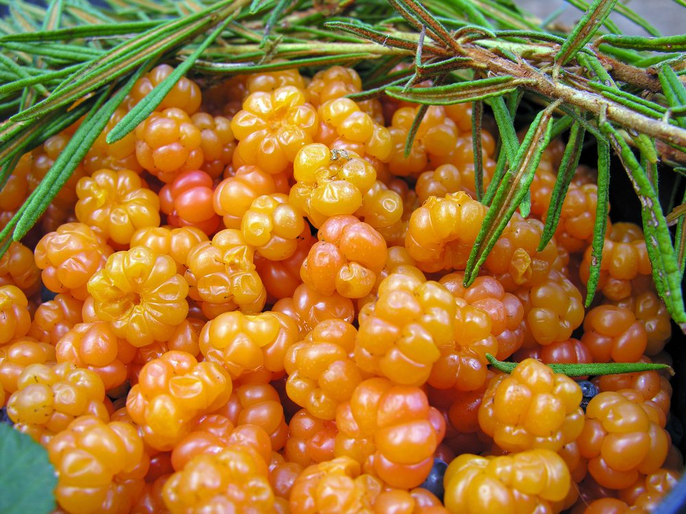 66 Exotic Fruits From Around The World (With Pictures!)