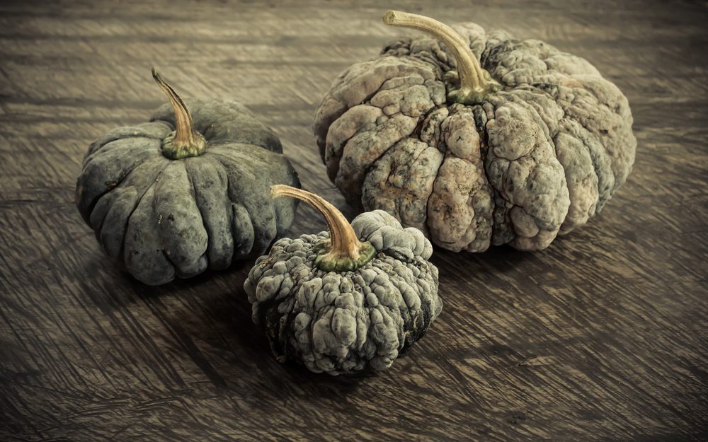 20 Squash Varieties To Look For In Your Farmer's Market This Autumn